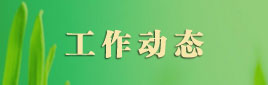 工作动态